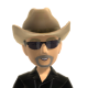 User Gravatar