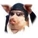 User Gravatar