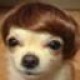 User Gravatar