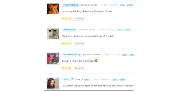 BuddyPress activity stream