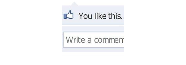 Facebook Like Button