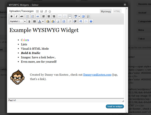 wysiwyg-widget Post image