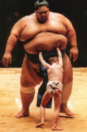 sumo1