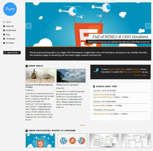 pure-theme-1 Post image