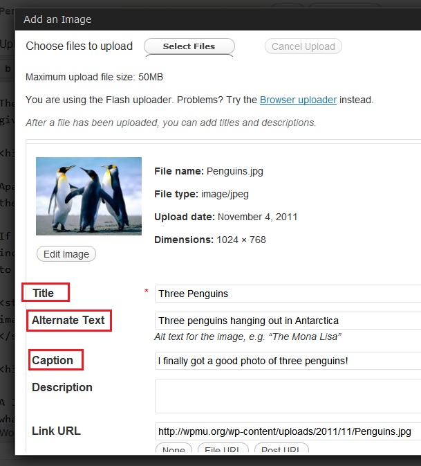 Optimize your site for Google Images