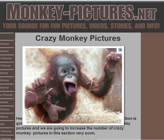 WordPress SEO for Google Images