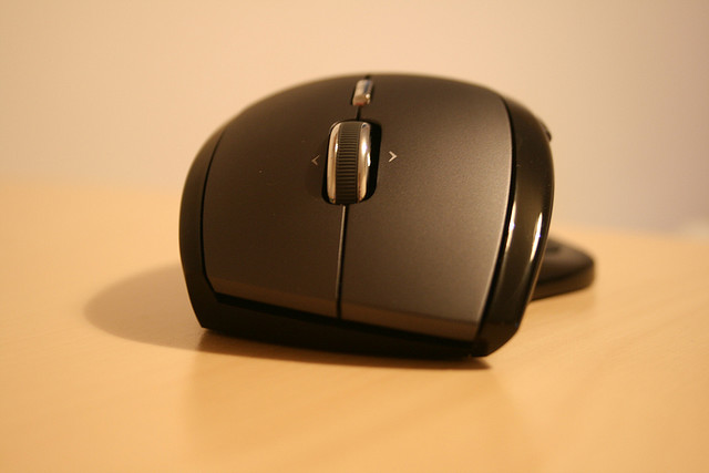 Mouse