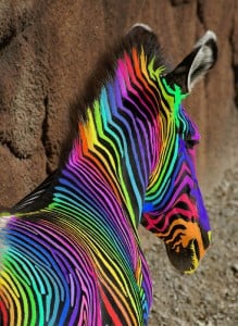 Create a color scheme for your website design