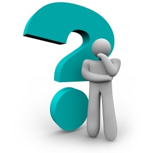 Send in your WordPress questions