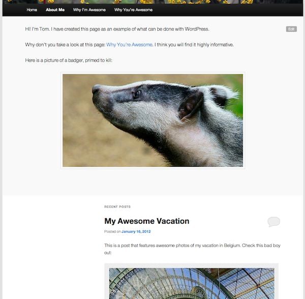 About Me (Showcase Template)
