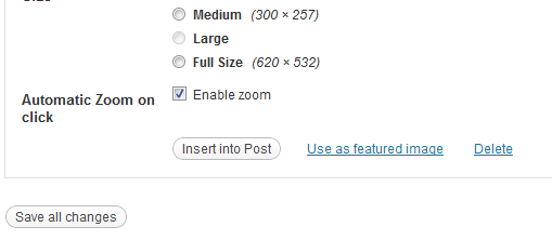 automatic-zoom Post image