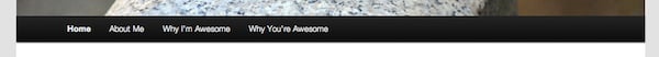 Navigation Bar