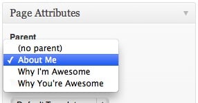 Parent Selector