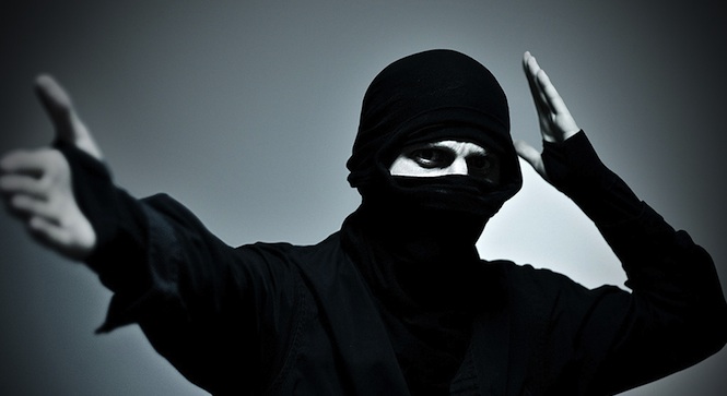 WordPress Ninja