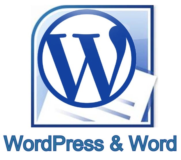 wordpress-word-big-blue Post image