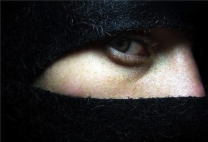 Integrate Blog Comments and Twitter, Ninja Style