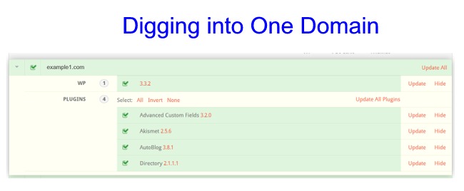 digging-into-one-domain Post image