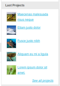 latest-projects-widget Post image