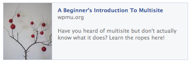 A Beginner's Introduction To Multisite
