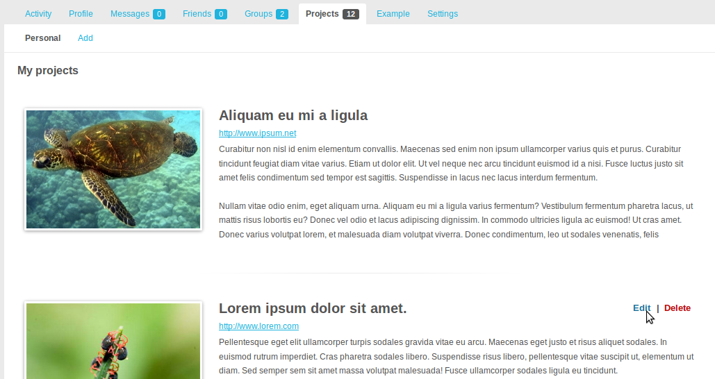 my-projects Post image
