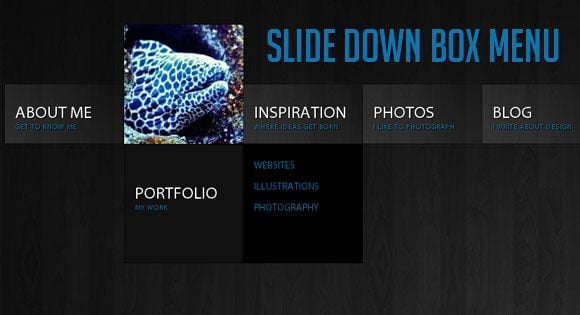 WordPress Menu Plugins - jQuery Slide Down Box Menu Tutorial