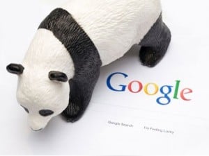 google-panda