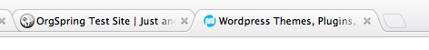 WordPress Title Settings