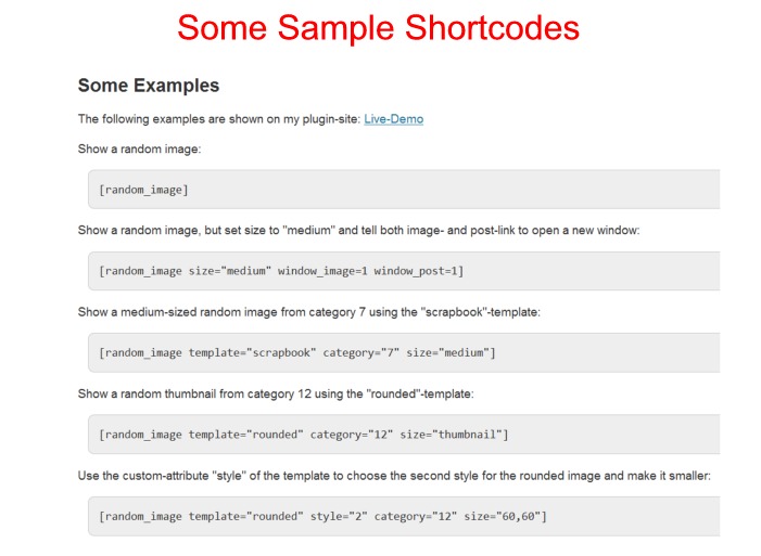 garees-sample-shortcodes Post image
