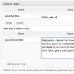 WordPress Sidebar - Screenshot of Graceful Sidebar custom fields