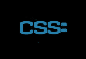 WordPress CSS Plugin