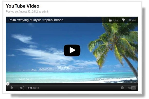 add-youtube-video-wordpress-big Post image