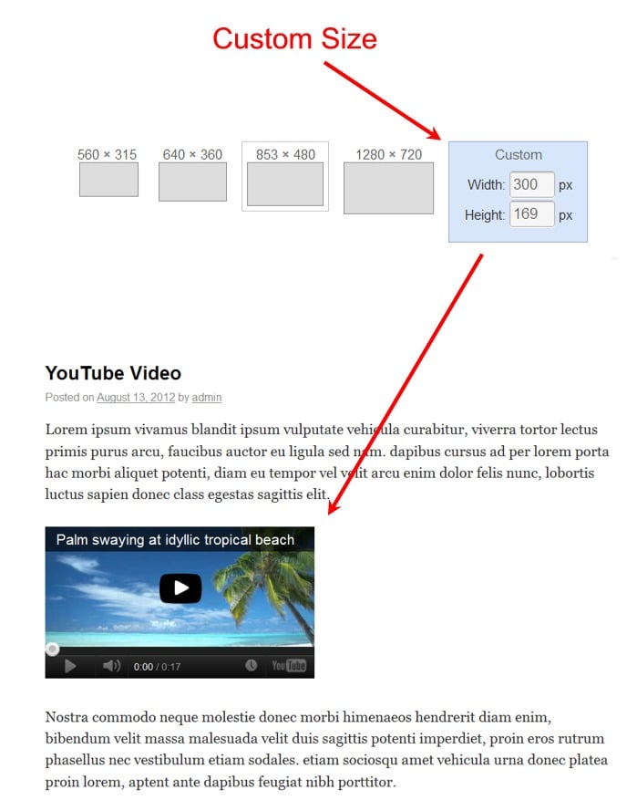 custom-size-youtube-video Post image