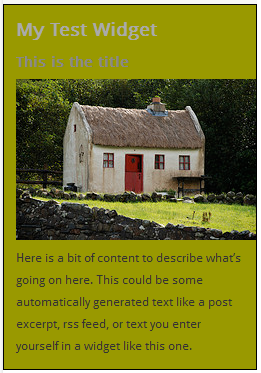 WordPress Widgets - Custom styling 2 WordPress Widgets - Screenshot of a test widget 2