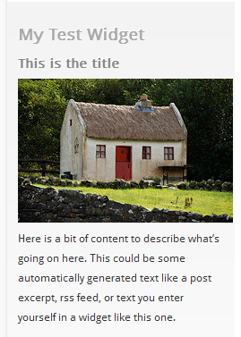 WordPress Widgets - Custom styling 1 WordPress Widgets - Screenshot of a test widget 1