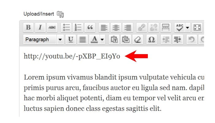 youtube-link-wordpress Post image