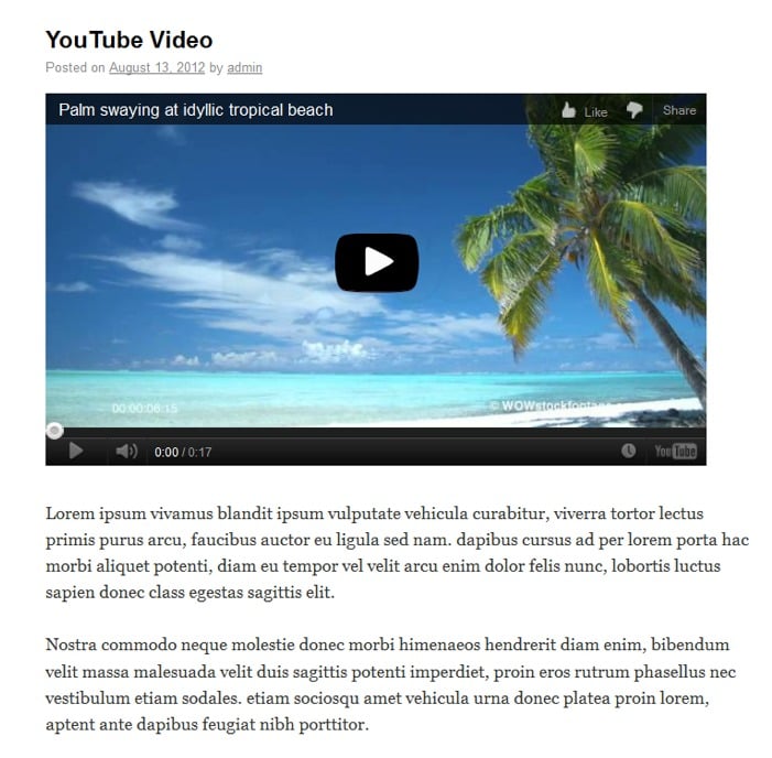 youtube-video-in-wordpress-post Post image