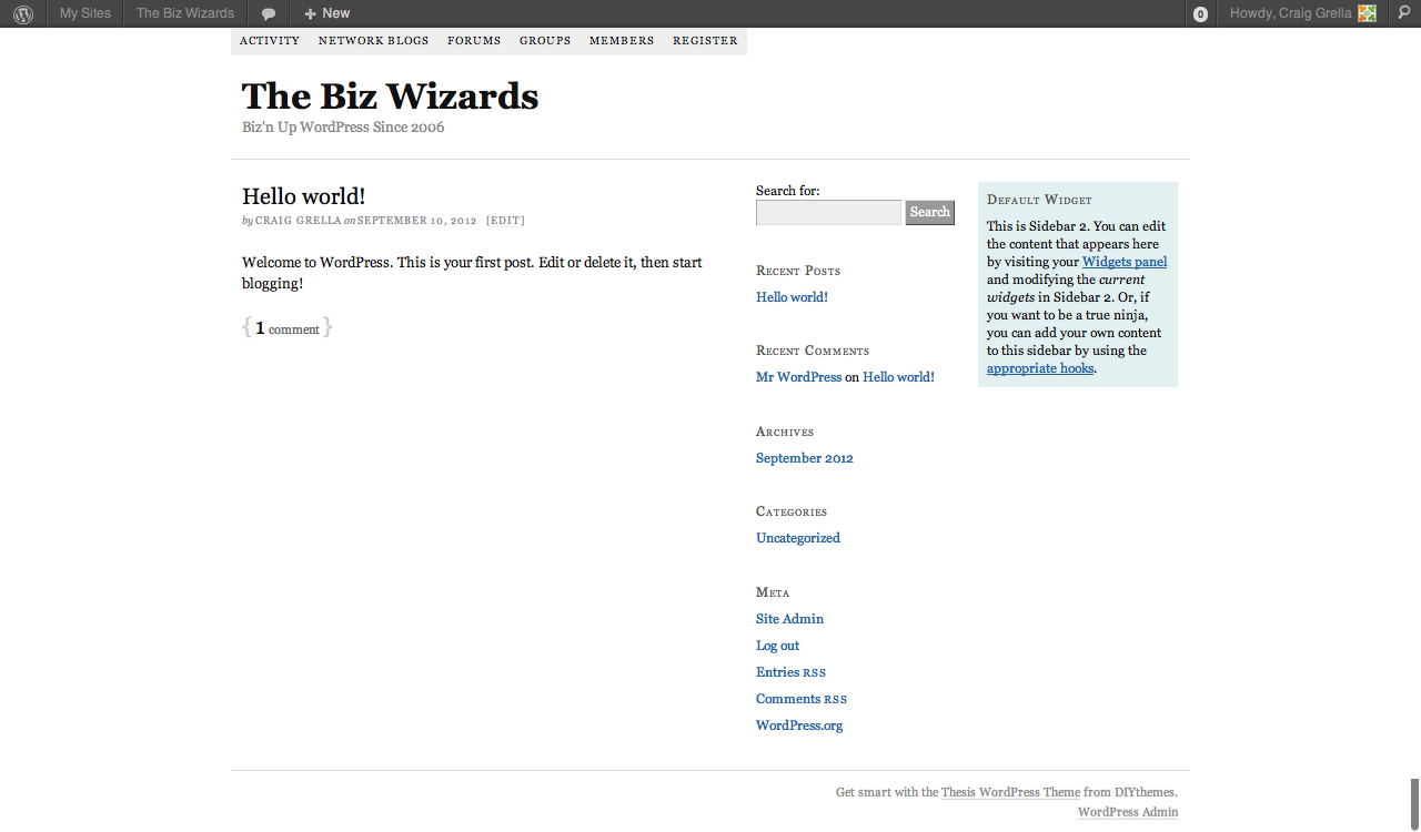 Website Before CSS Edits Post image