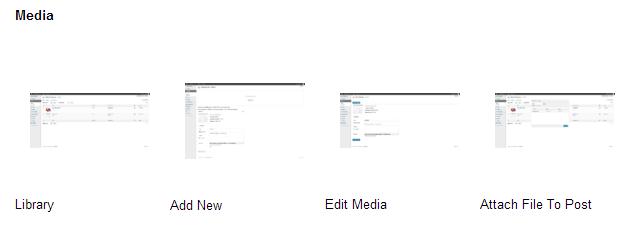 media Post image