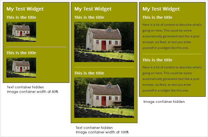 WordPress Widgets - Custom styling 9 WordPress Widgets - Screenshot of a test widget 9