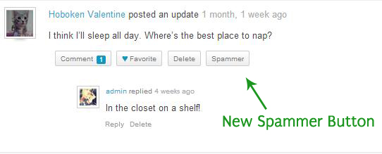 spammer Post image
