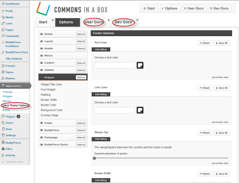 cbox-theme-options Post image