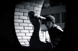WordPress Thief - Image, Content, Video, and Downloads