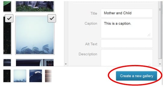 create-gallery-button Post image