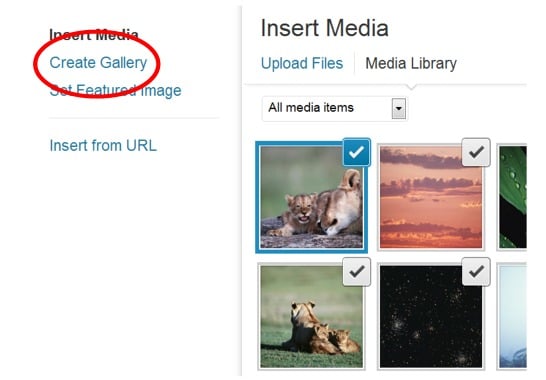 create-gallery Post image