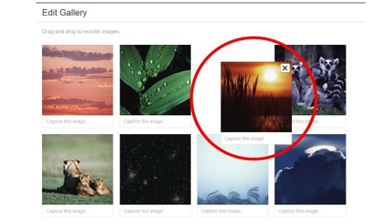 drag-and-drop Post image