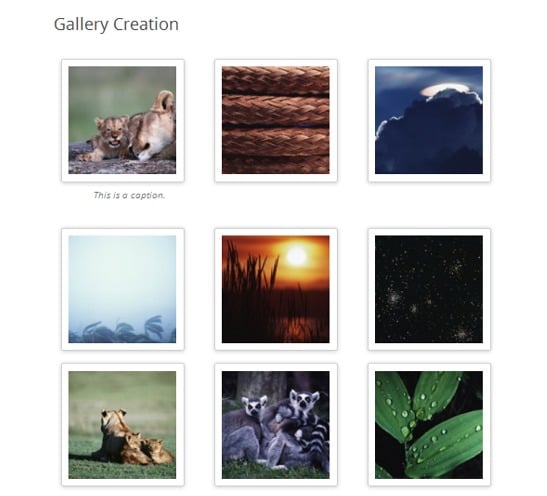 gallery Post image