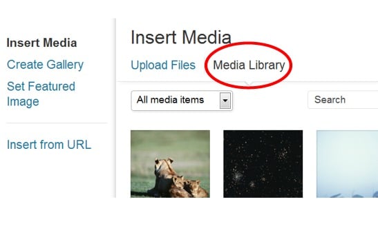 media-library-files Post image