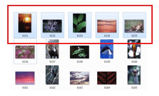 select-files Post image