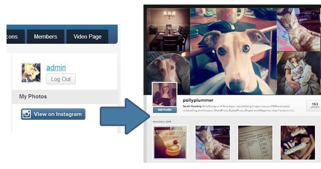 view-on-instagram Post image