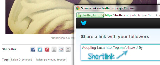 shortlinks Post image